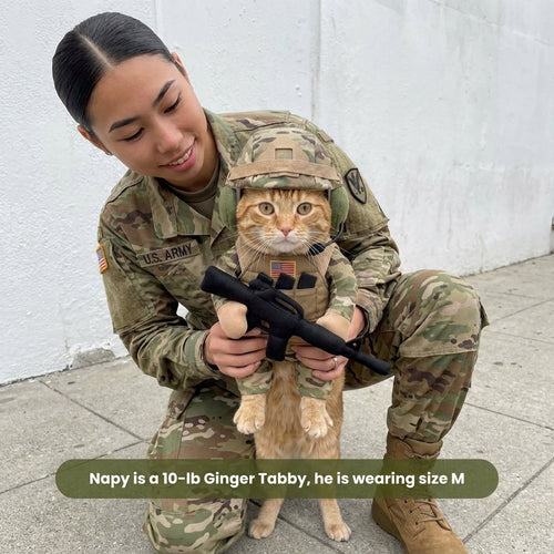 Cat wearing the Cat Soldier Outfit